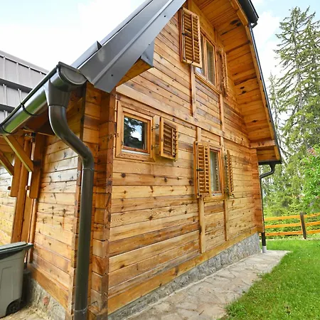 Prázdninový dům Vidakovic - Planina Zlatar, Nova Varos, Srbija