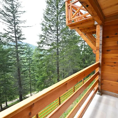 Prázdninový dům Vidakovic - Planina Zlatar, Nova Varos, Srbija